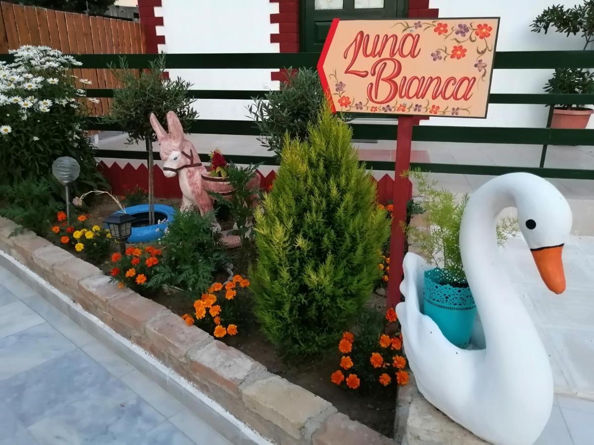 Luna Bianca - Corfu Apartments Exterior photo